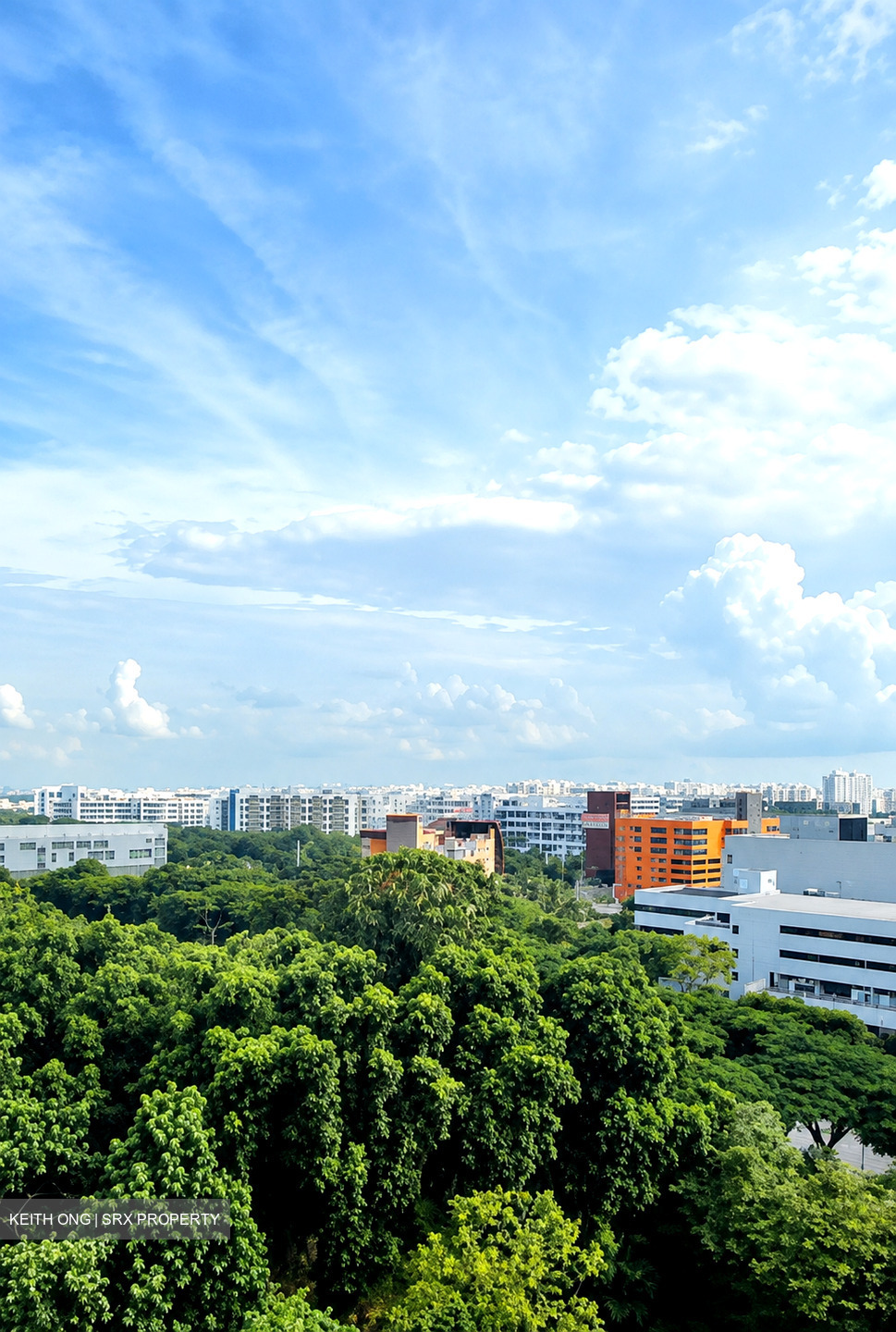 Treasure at Tampines (D18), Condominium #606483131